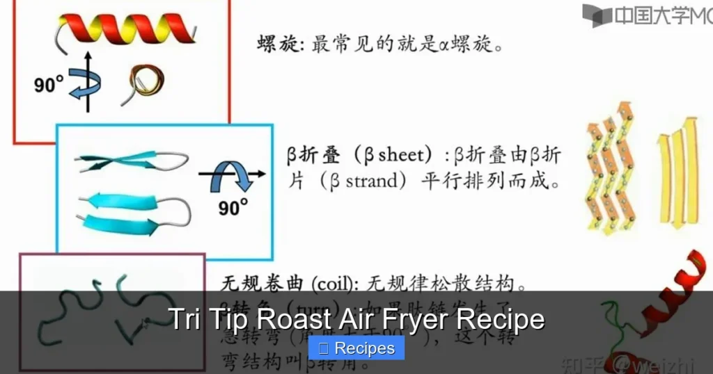 Tri Tip Roast Air Fryer Recipe Tri Tip Roast Air Fryer Recipe