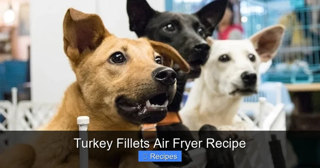 Turkey Fillets Air Fryer Recipe Turkey Fillets Air Fryer Recipe
