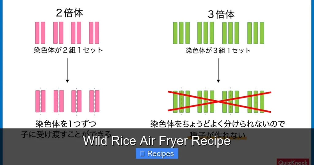 Wild Rice Air Fryer Recipe